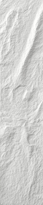 Stone skala white vzor D